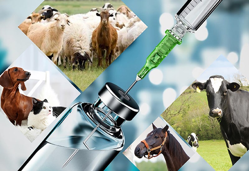 Veterinary Pharmaceutical